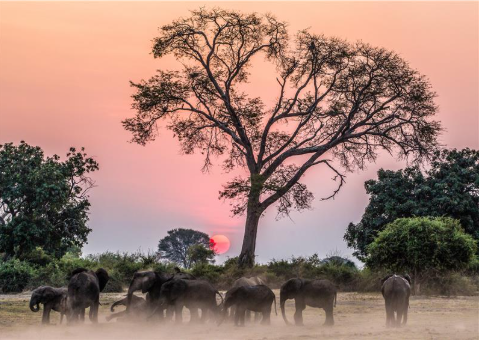 Why Zimbabwe Should Be on Your 2025 Travel List