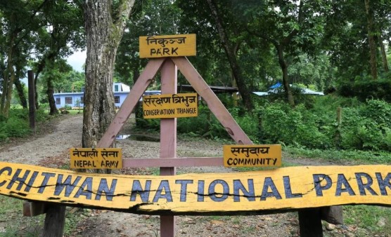 Chitwan Package Tour: Complete Guide for an Unforgettable Nepal Wildlife Experience