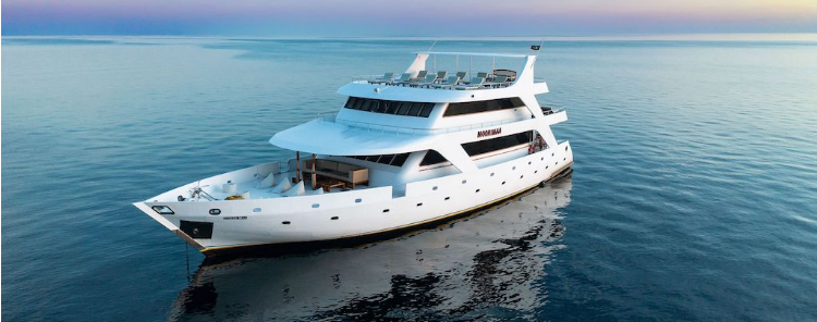 Find the best underwater adventure: scuba diving trips and liveaboard dive boats in the Maldives.