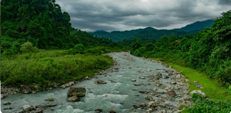 Sustainable Escapes: Crafting the Perfect Dooars Travel Plan for Nature Lovers